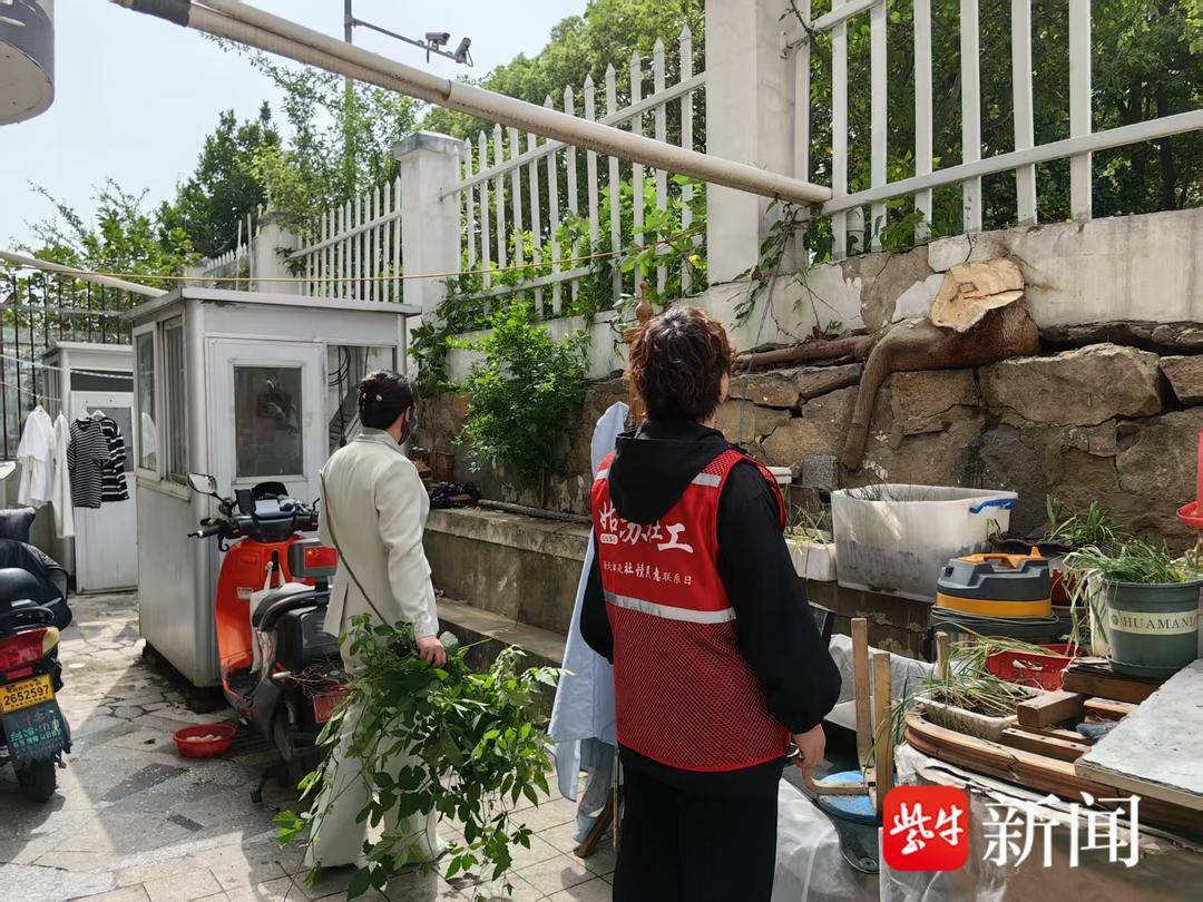 危樹隱患清零<strong></p>
<p>流水線</strong>！“24小時民情流水線”快速解民憂:流水線